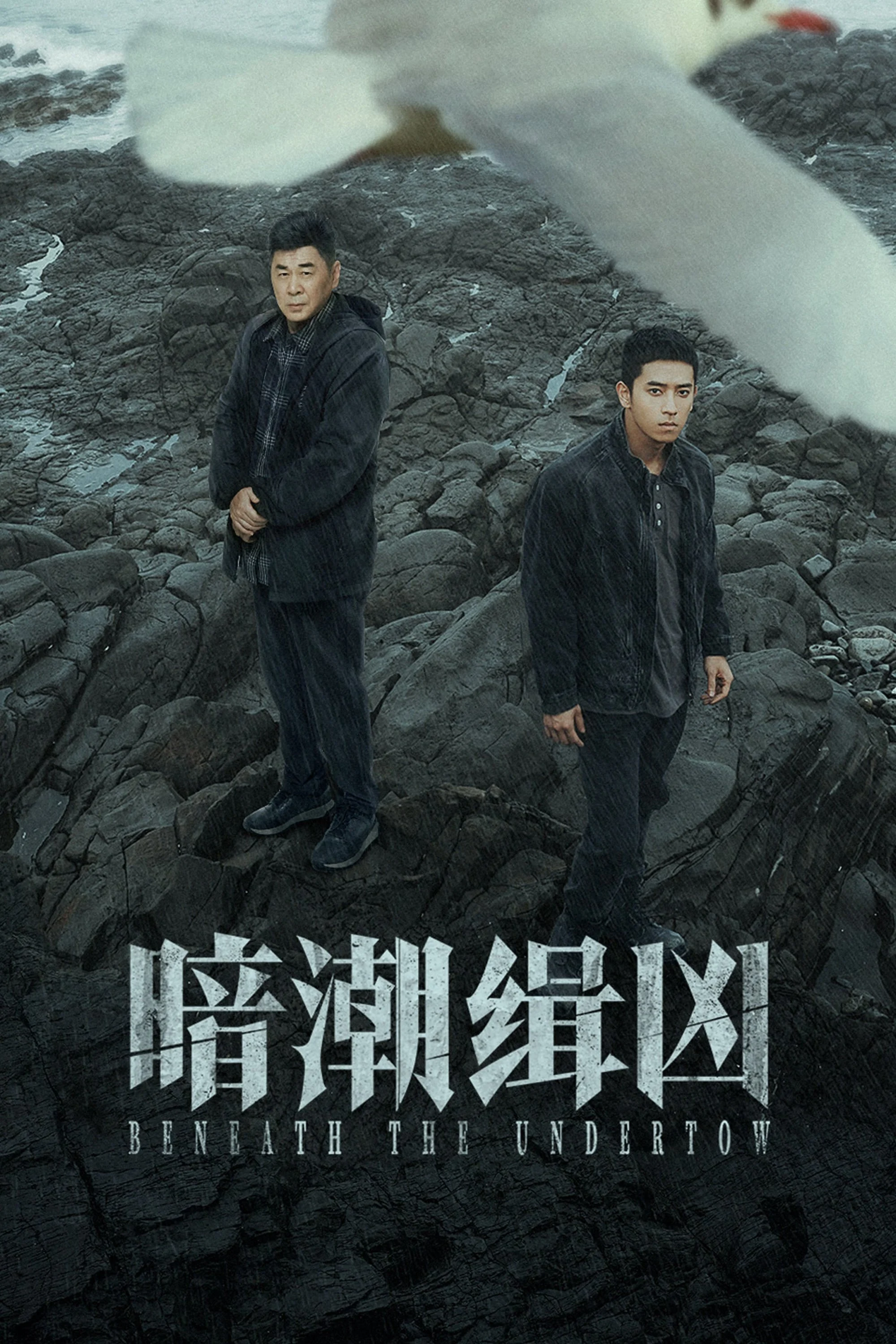 Poster phim Ám Triều Tập Hung