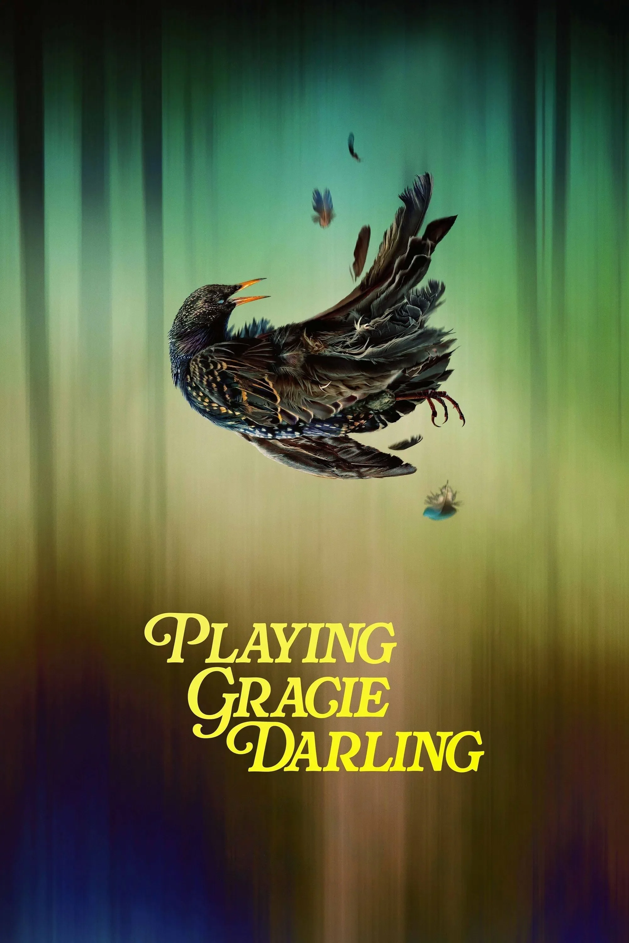 Phim Bí Ẩn Trò Chơi Gracie Darling