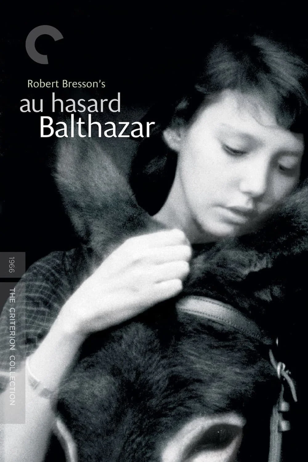 Phim Chú Lừa Balthazar