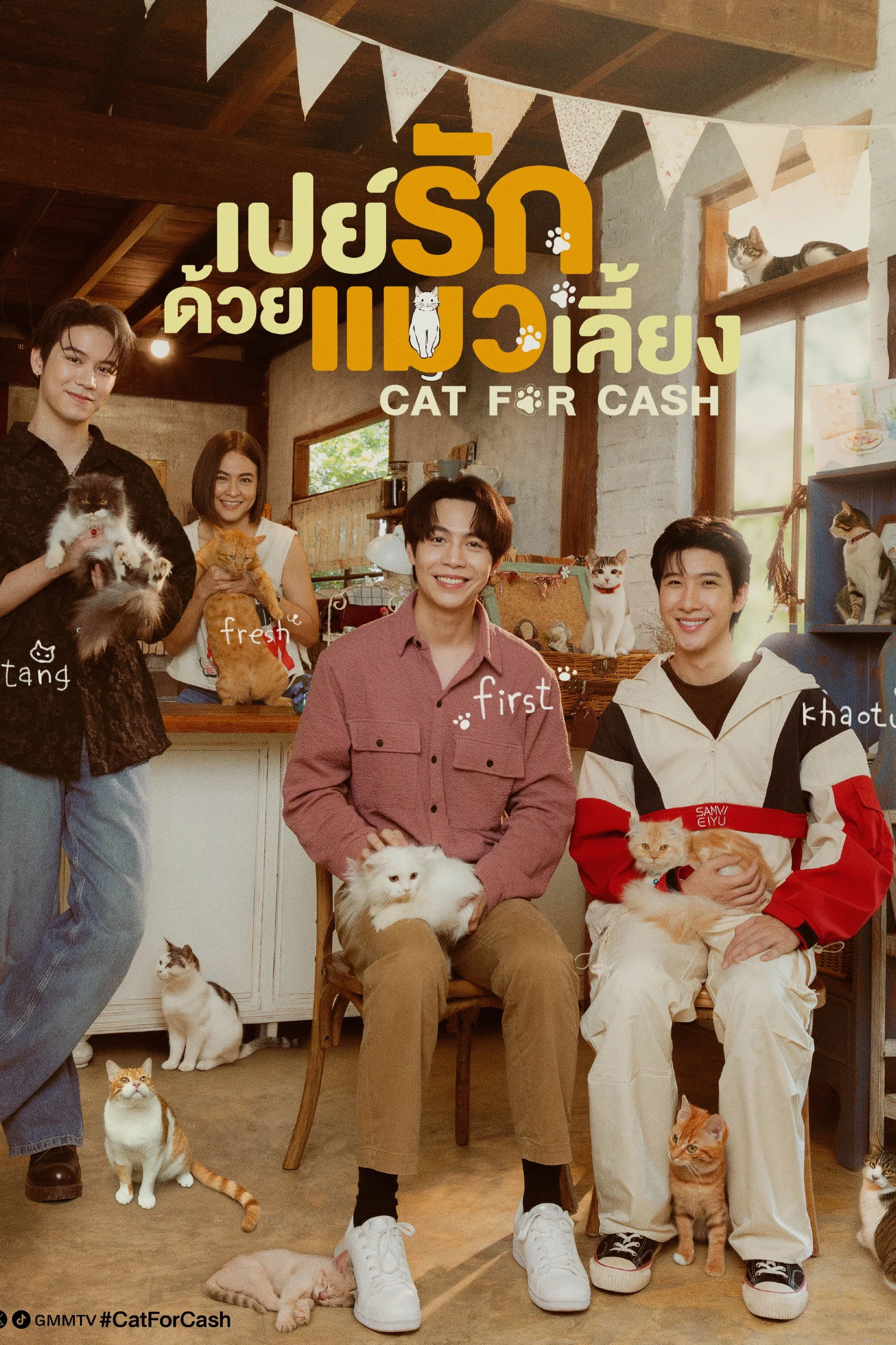 Phim Đổi Tình Lấy Mèo