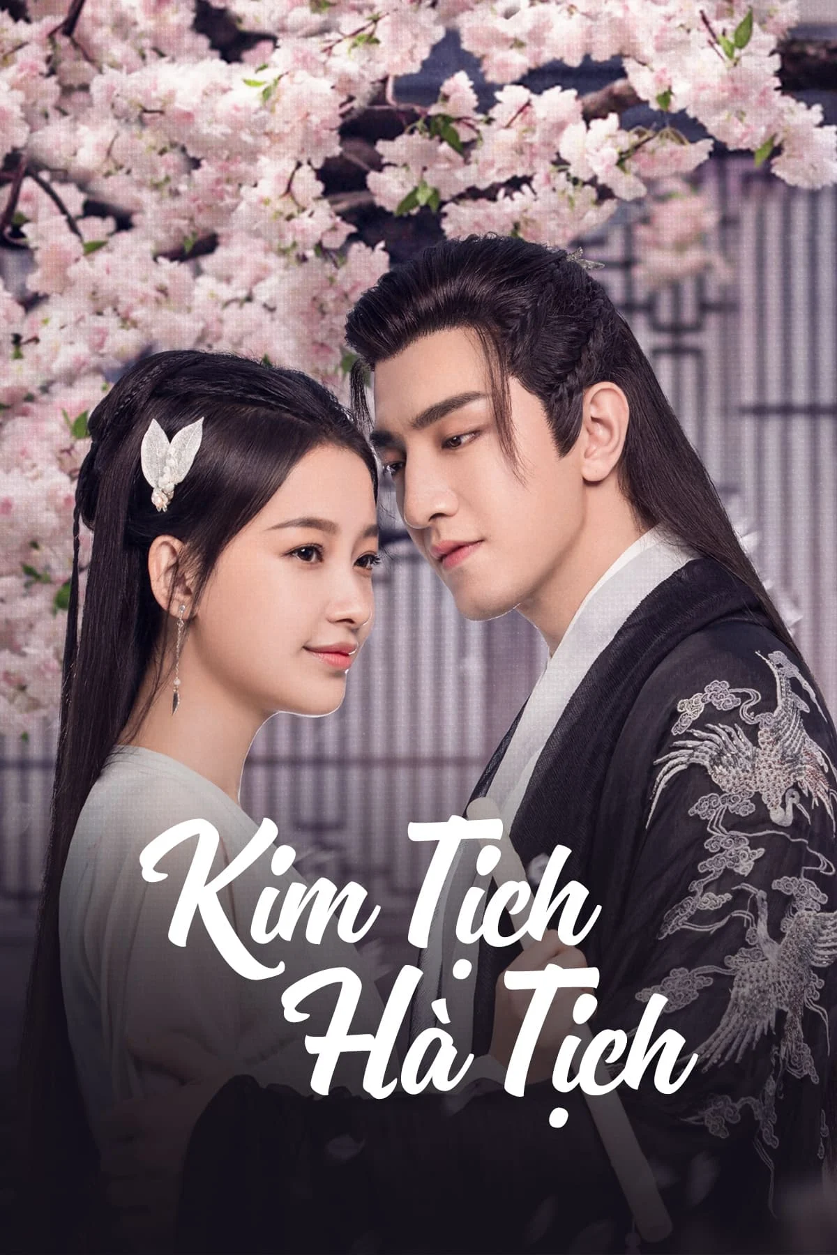 Phim Kim Tịch Hà Tịch