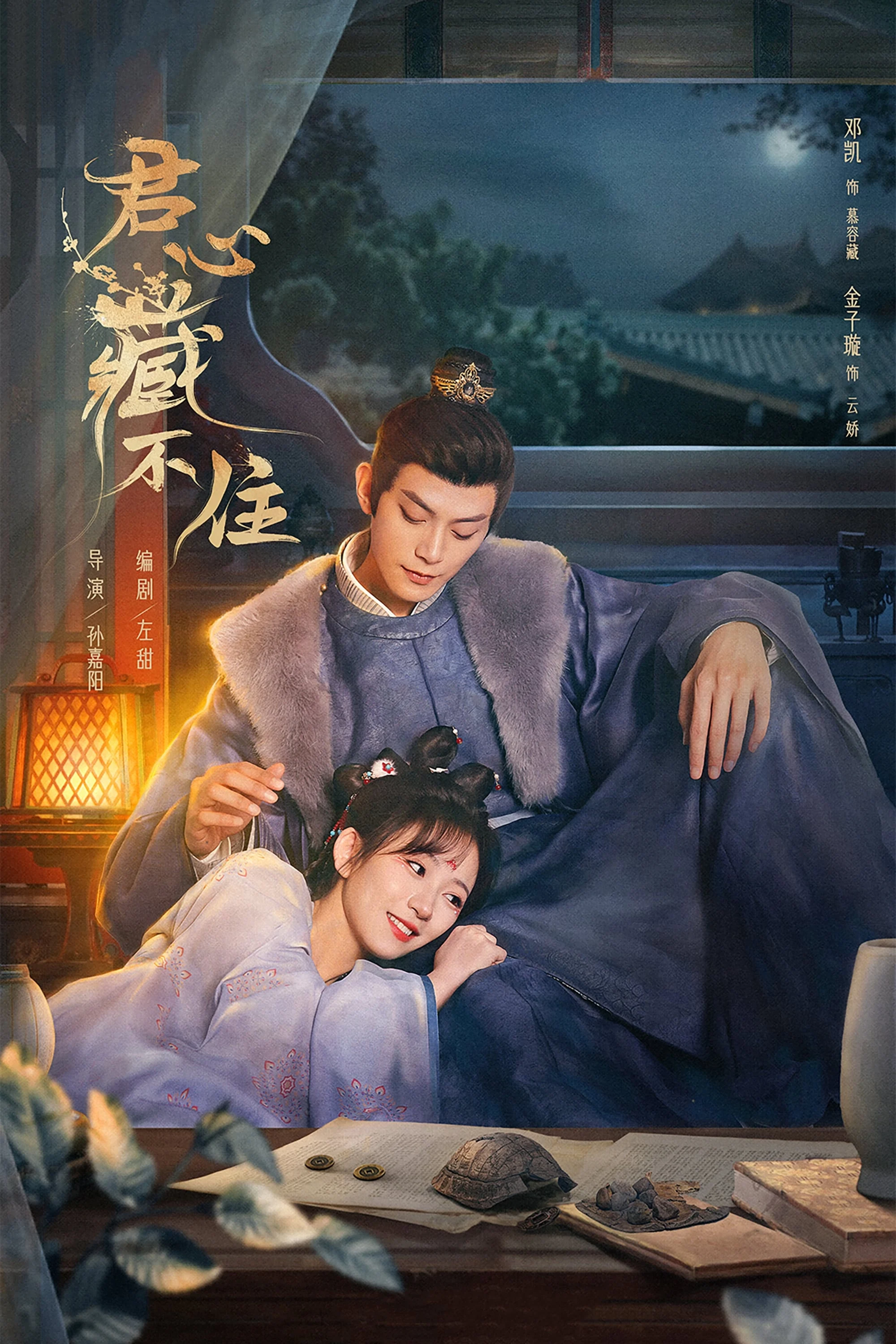 Poster phim Lòng Quân Không Thể Giấu