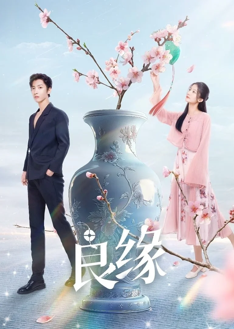 Poster phim Lương Duyên