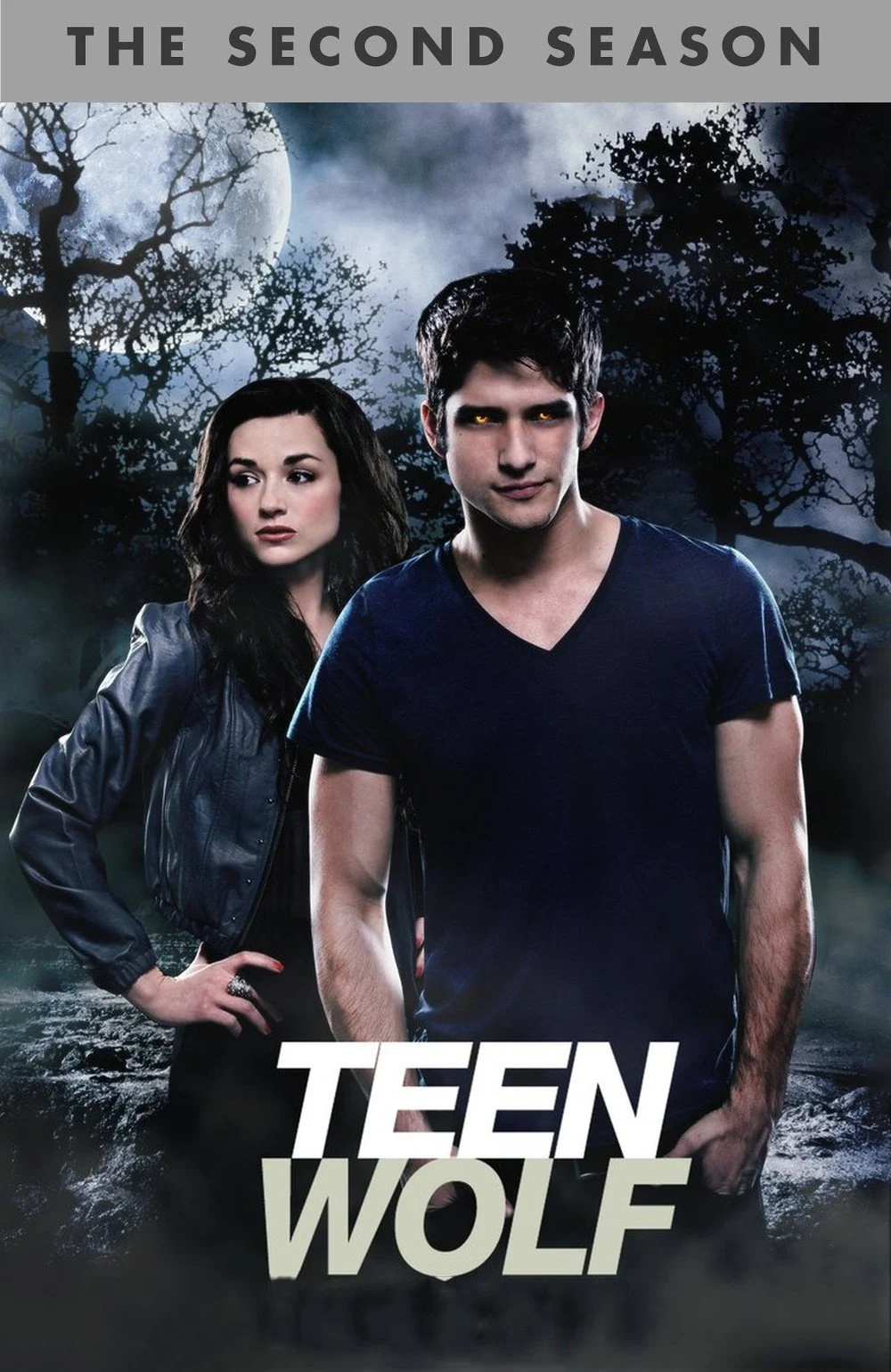 Poster phim Người Sói Tuổi Teen (Phần 2)