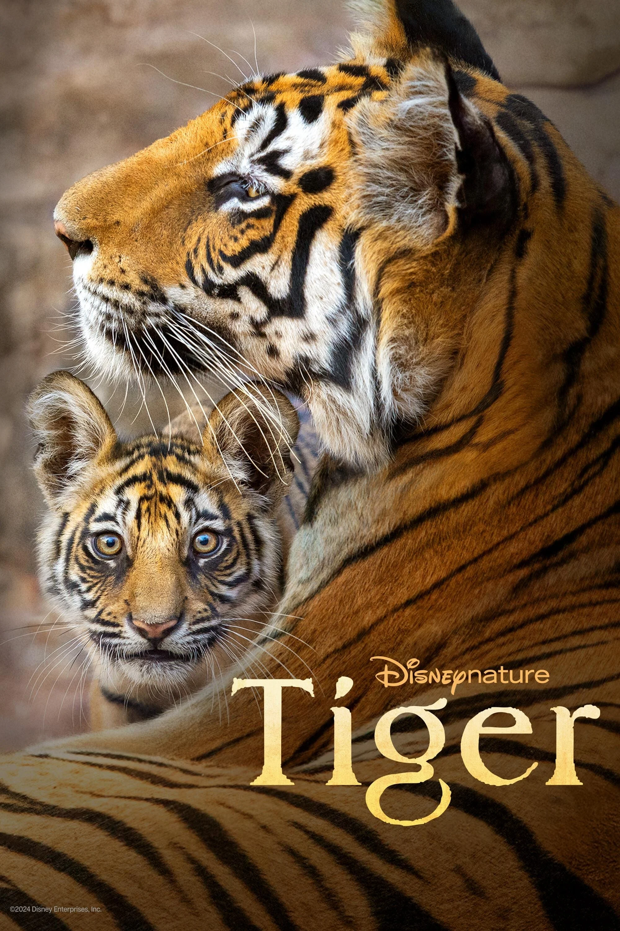 Phim Tiger