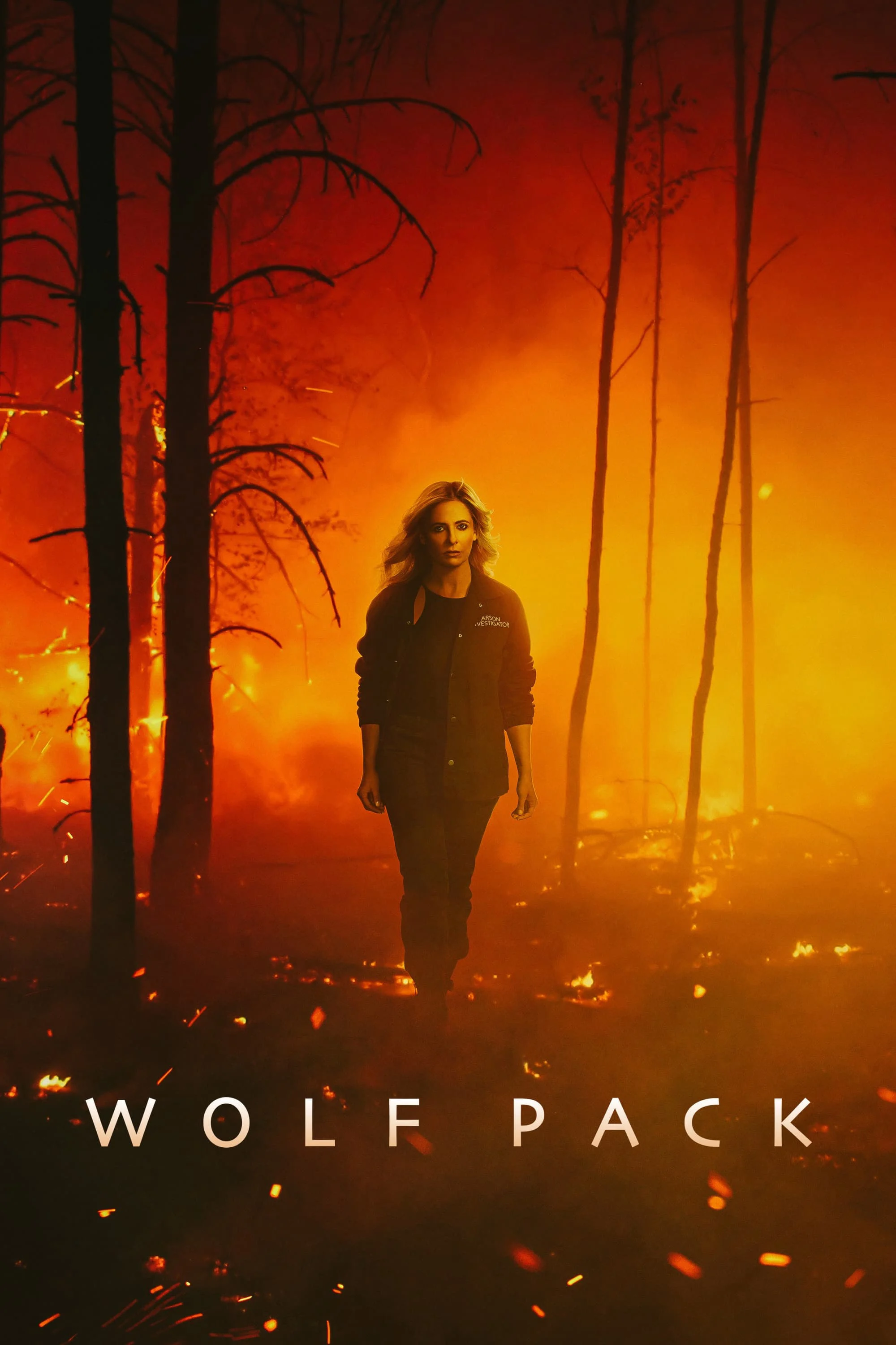 Poster phim Wolf Pack