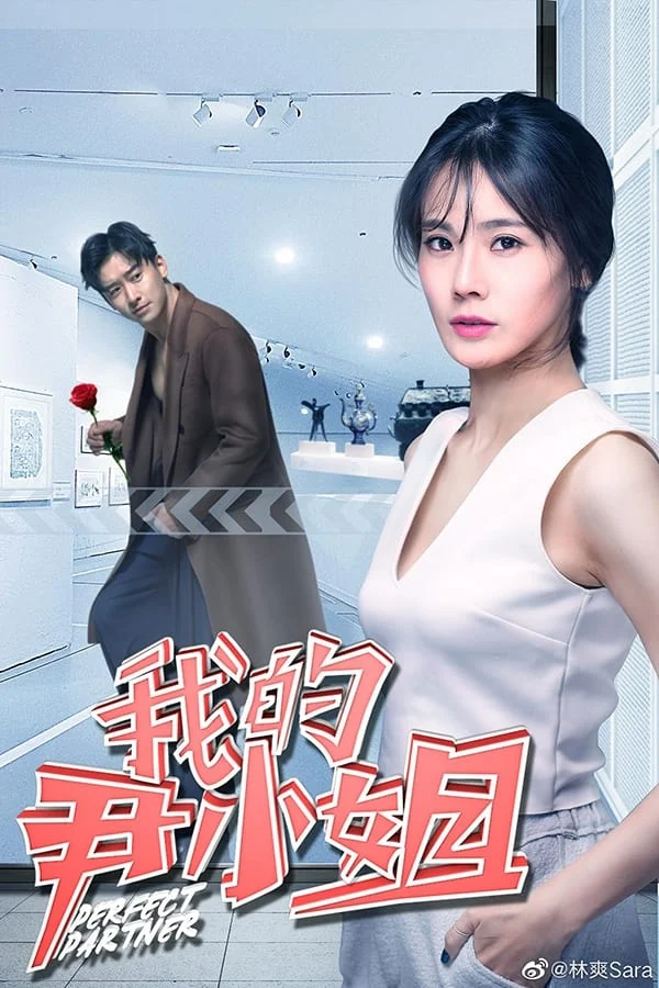 Poster phim Cộng Sự Hoàn Hảo