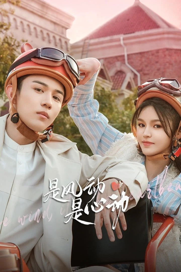 Phim Là Gió Lay Hay Tim Rung Động